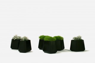 the planter is the tool to create personalized combinations through juxtapositions. 