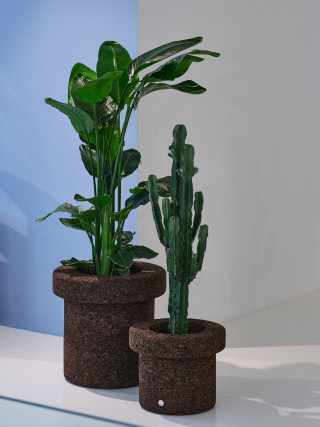 Pictures by Studio B.Helle